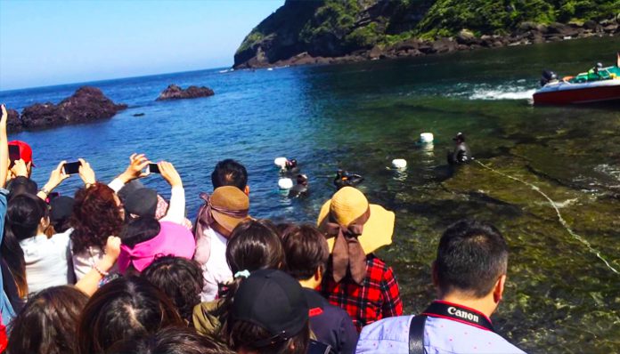 Haenyeo women divers jeju (1)
