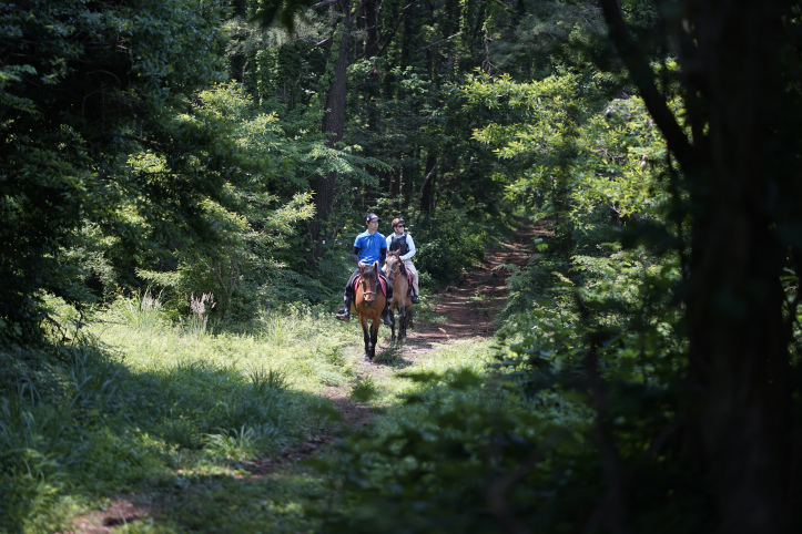 jeju horseback riding (1)