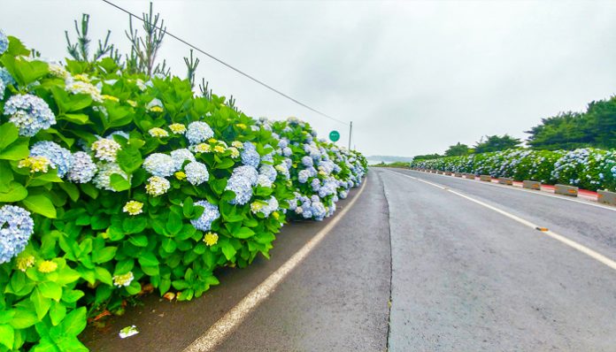 Jongdalri Shore Road jeju (1)