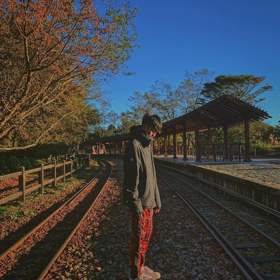 1Alishan Forest Railway taiwan (3)