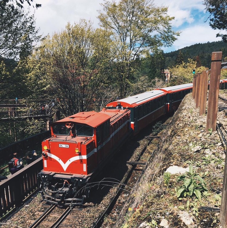 Alishan Forest Railway (1)