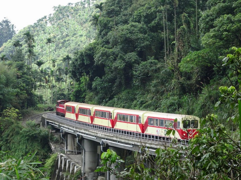 Alishan Forest Railway taiwan (1)