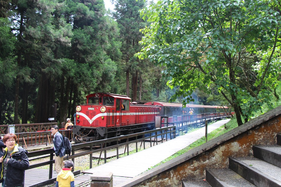 Alishan Forest Railway taiwan (10)