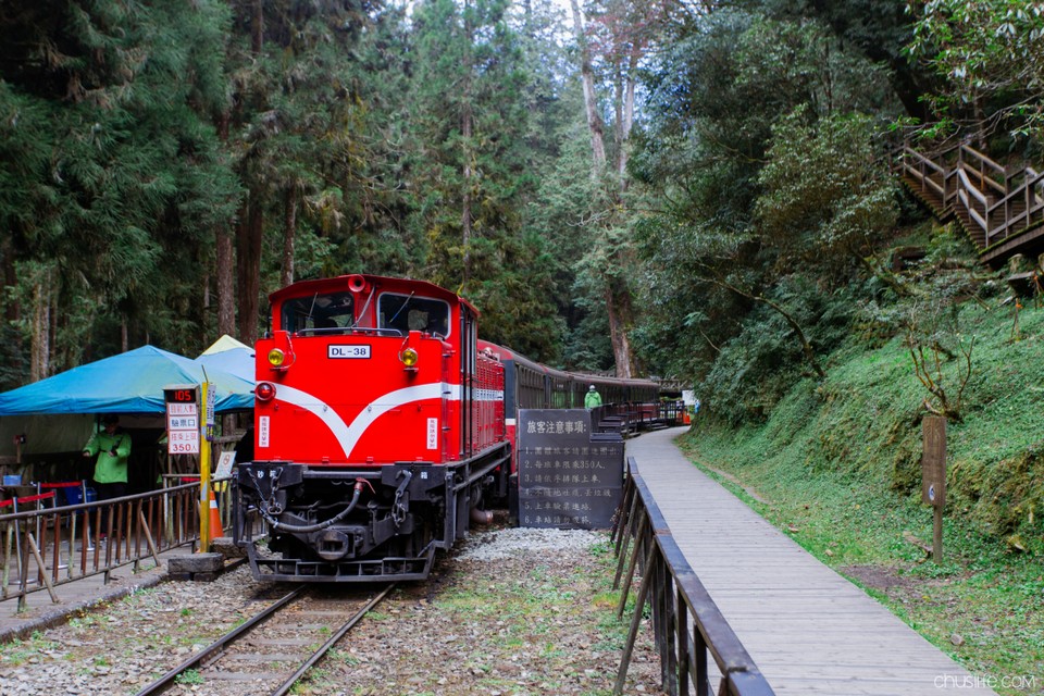 Alishan Forest Railway taiwan (11)