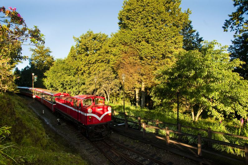 Alishan Forest Railway taiwan (12)
