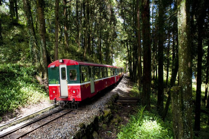 Alishan Forest Railway taiwan (13)