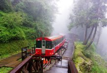 What to do in Alishan? — 5 top attractions & best things to do in Alishan, Taiwan Alishan Forest Railway taiwan (1)