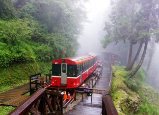 Alishan Forest Railway taiwan (1)