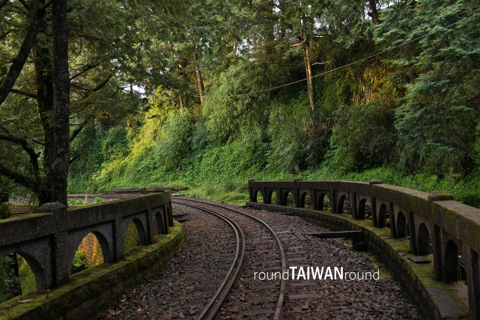 Alishan Forest Railway taiwan (6)