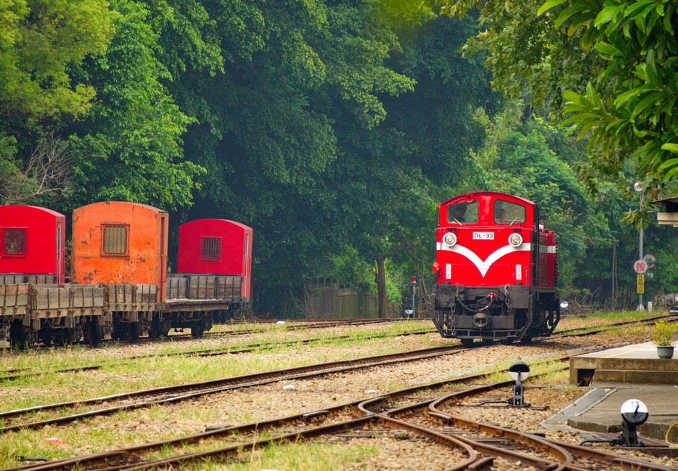 Alishan Forest Railway taiwan (7)