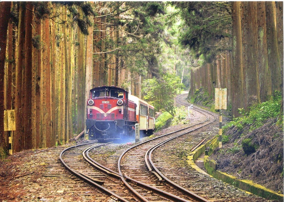Alishan Forest Railway taiwan (8)