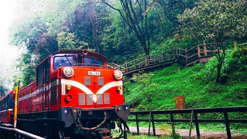 Alishan Forest Railway taiwan (9)