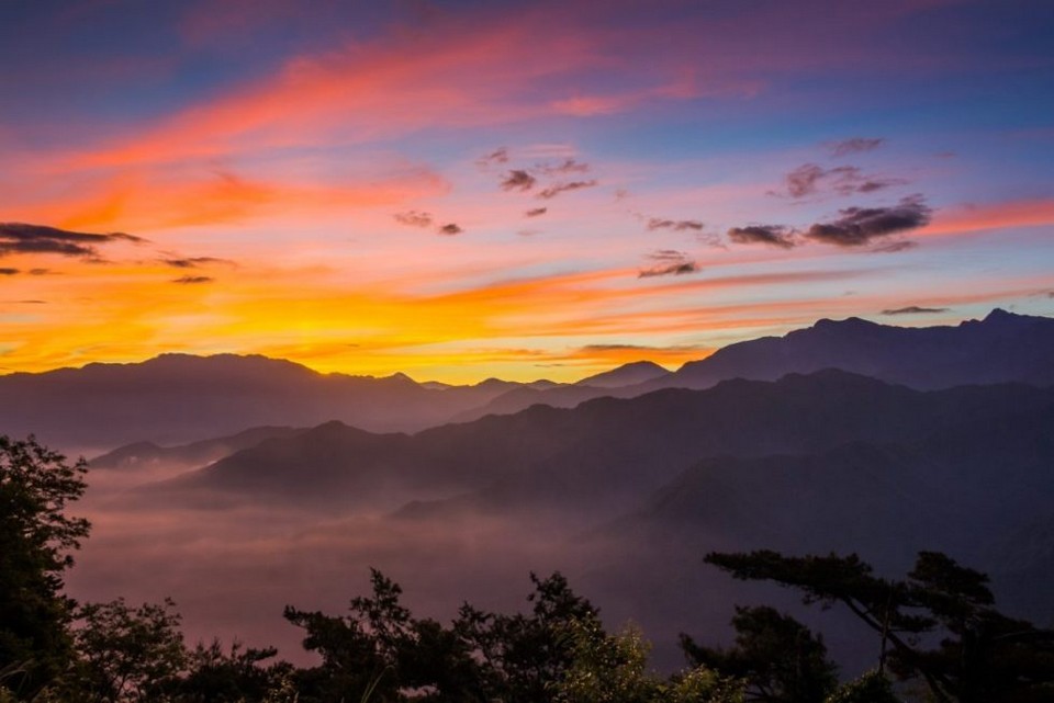 Zhu Shan peak alishan (11)