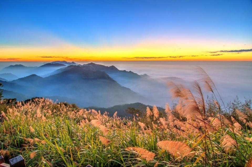 Zhu Shan peak alishan (12)