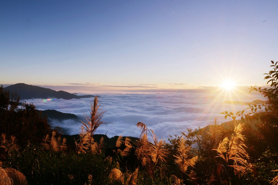 Zhu Shan peak alishan (9)