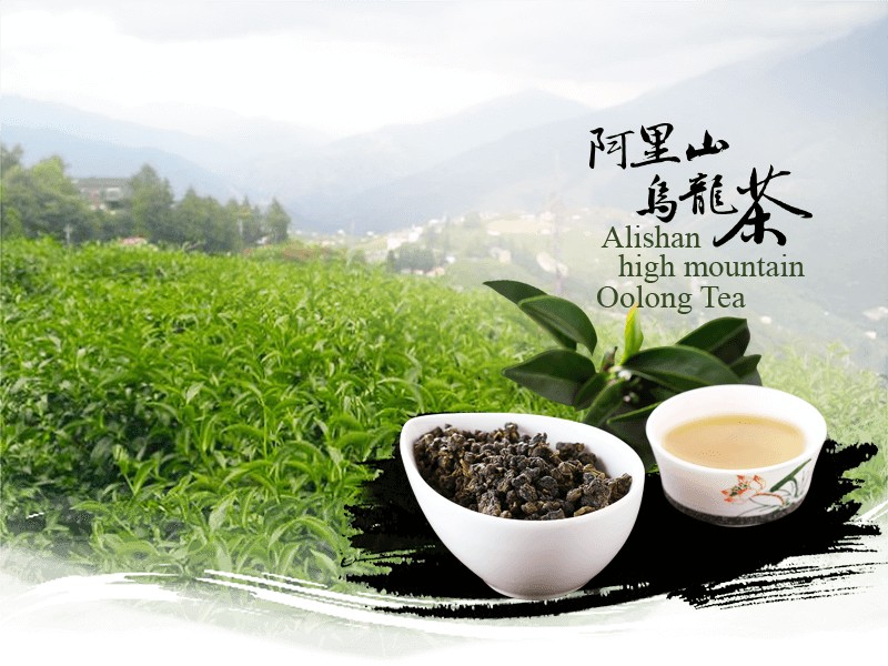 alishan oolong tea