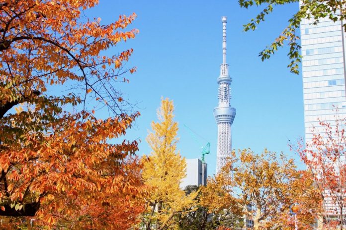 ,best autumn spots in tokyo,best place to see autumn leaves in tokyo,where to view autumn leaves in tokyo (10) ,best autumn spots in tokyo,best place to see autumn leaves in tokyo,where to view autumn leaves in tokyo (1)