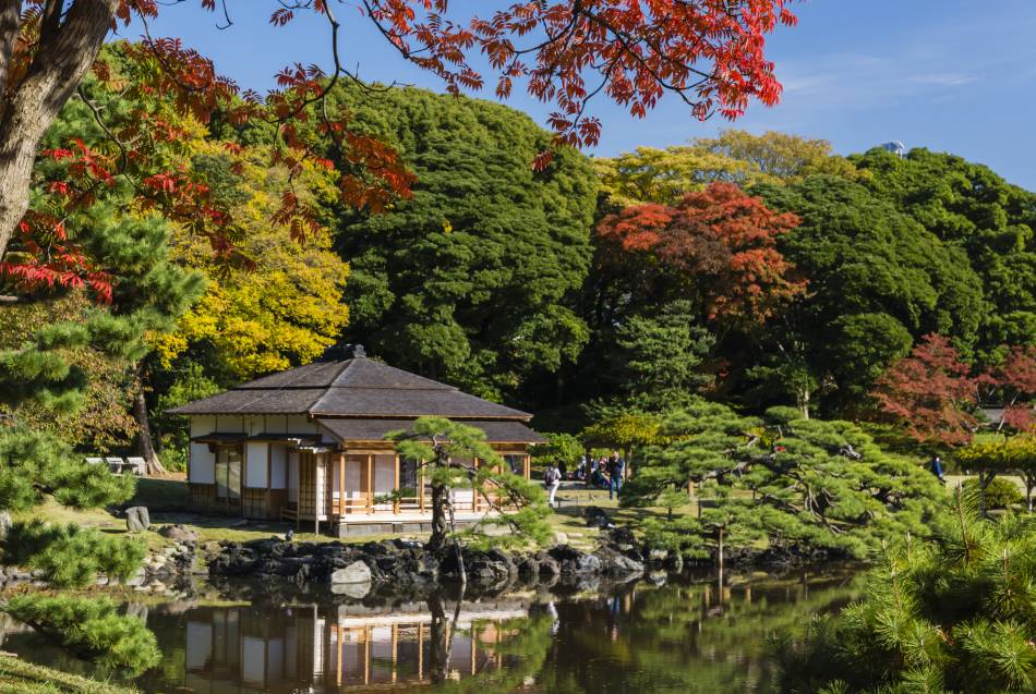 Hamarikyu Gardens autumn tokyo (1)