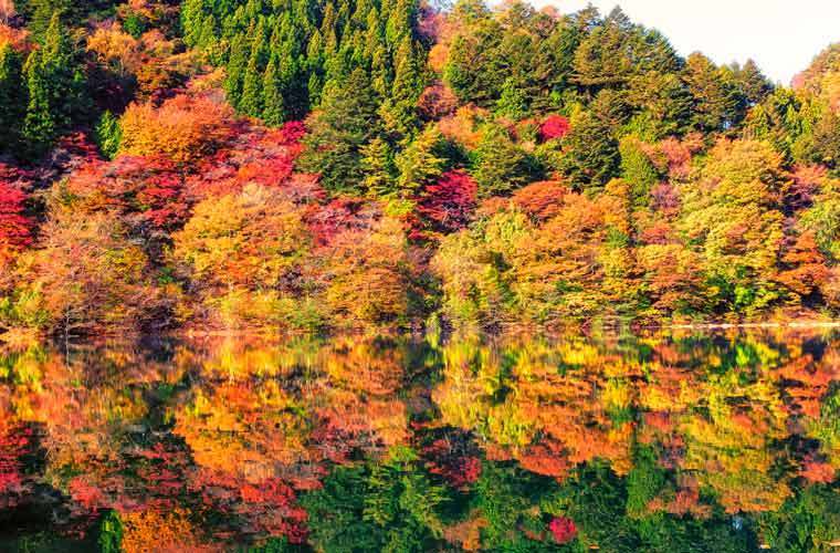 Lake Okutama autumn (1)