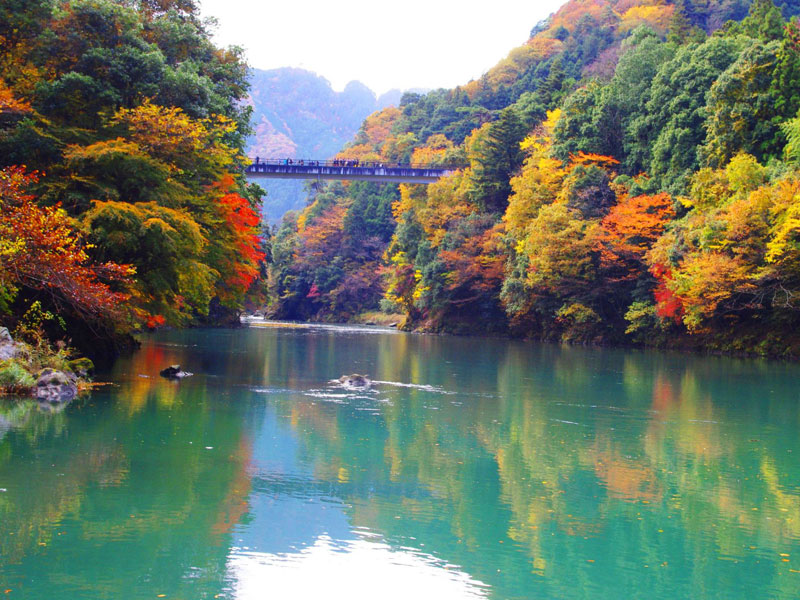 Lake Okutama autumn (1)