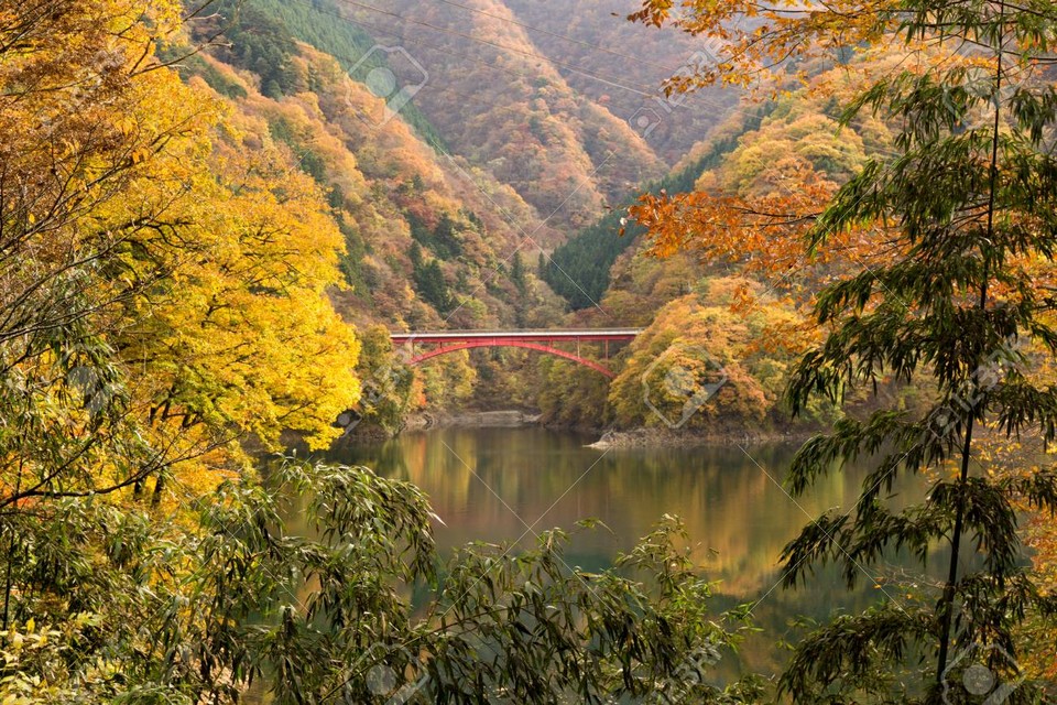 Lake Okutama autumn (1)