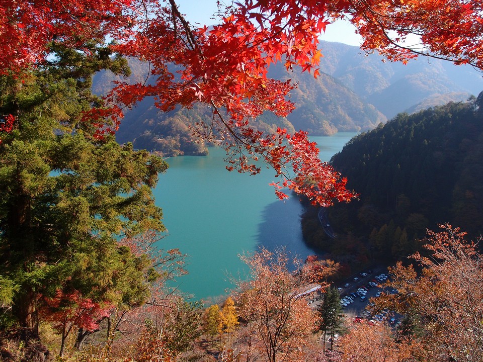 Lake Okutama autumn (1)