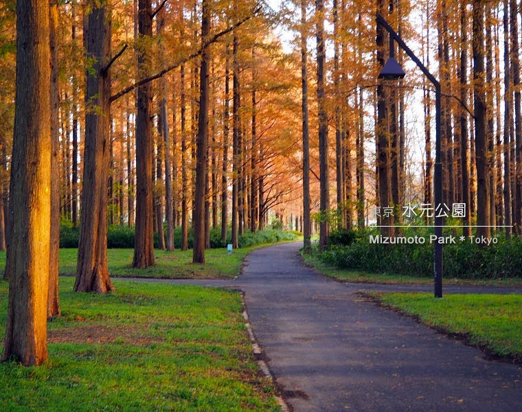 Mizumoto Park autumn (2)