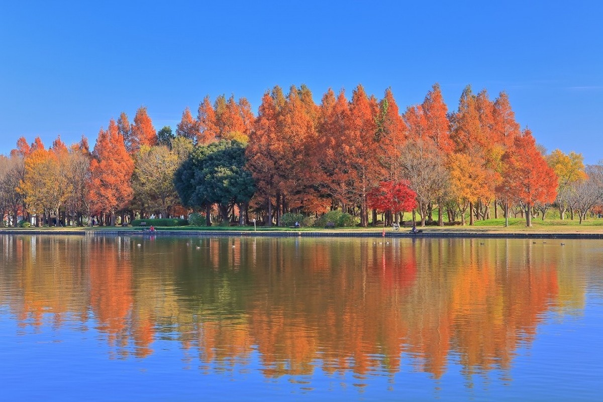 Mizumoto Park autumn (4)