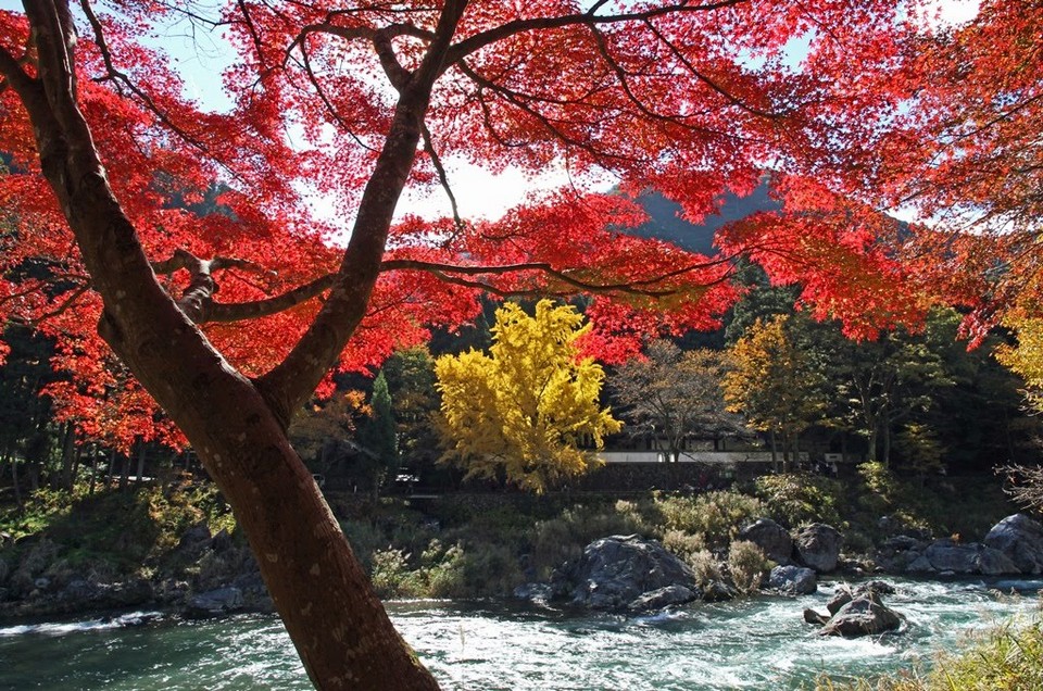 Mount Mitake (Mitakesan) tokyo autumn (8)