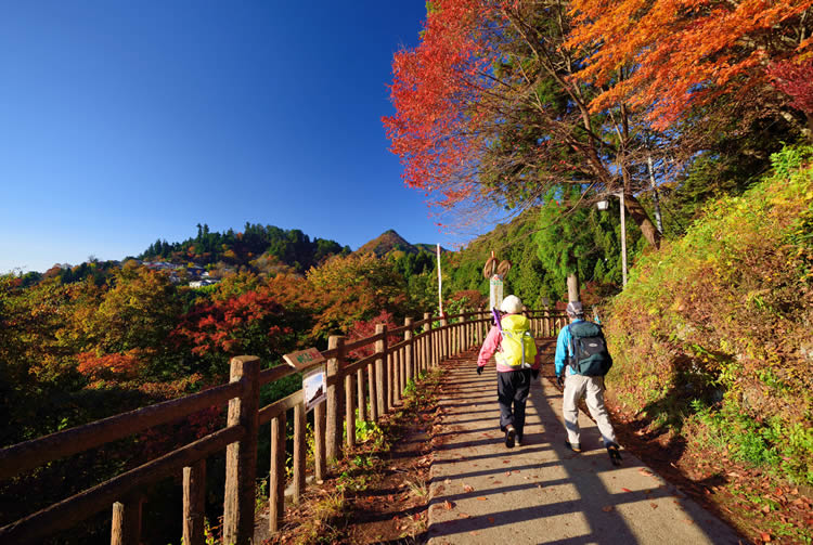 Mount Mitake (Mitakesan) tokyo autumn (8)
