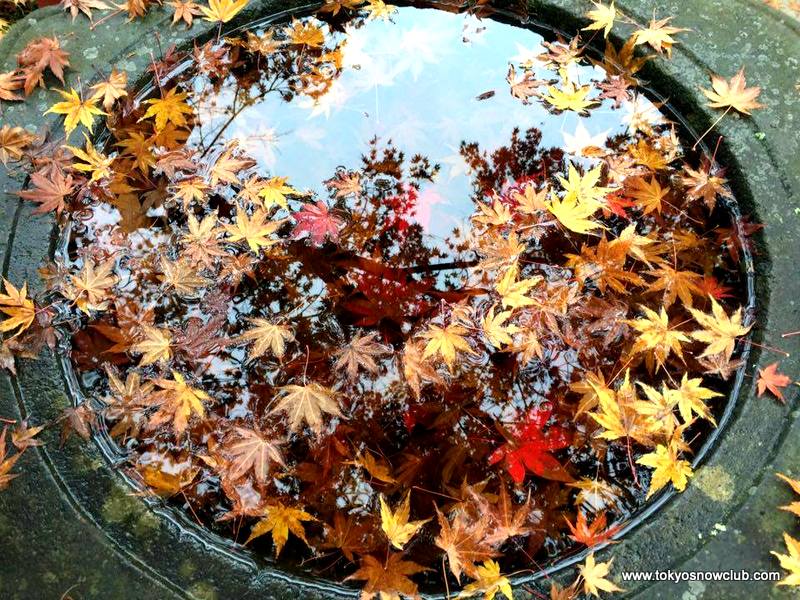 Mount Mitake (Mitakesan) tokyo autumn (1)