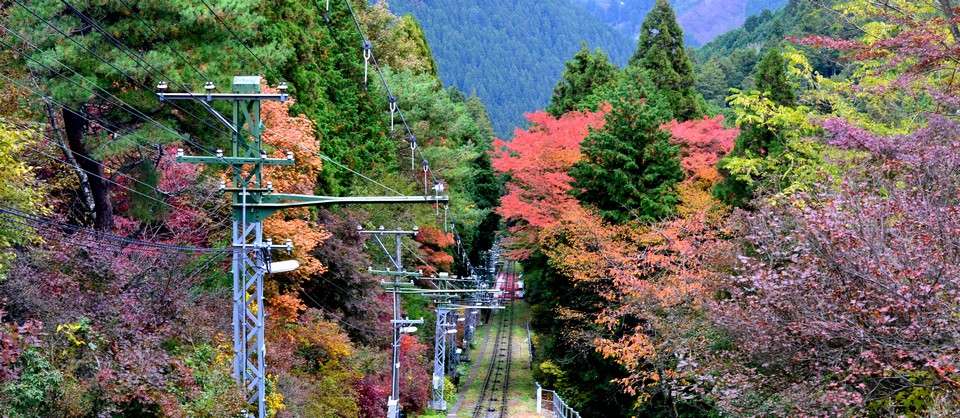 Mount Mitake (Mitakesan) tokyo autumn (1)