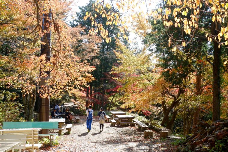 Mount Mitake (Mitakesan) tokyo autumn (8)