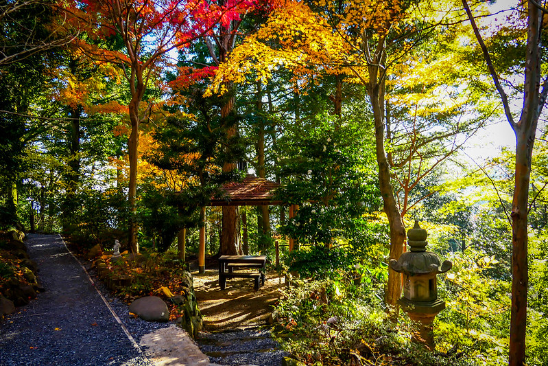 Mt Takao Monkey Park & Wildflower Garden (1)