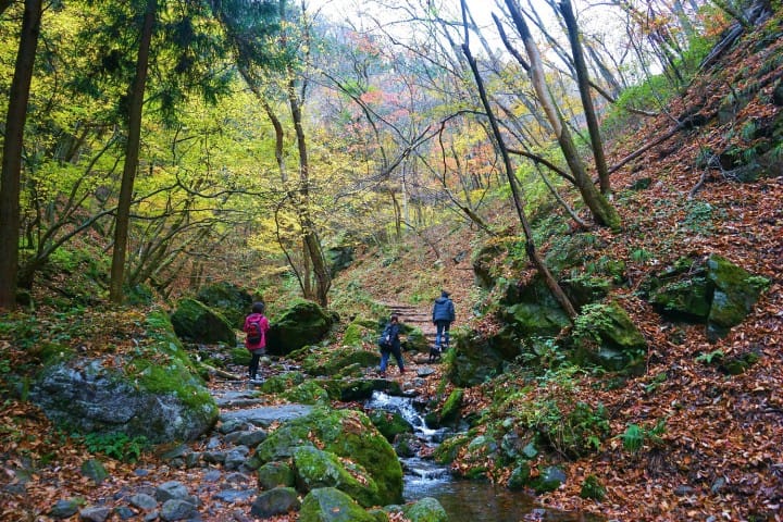 Mt. Mitake’s Rock Garden (1)