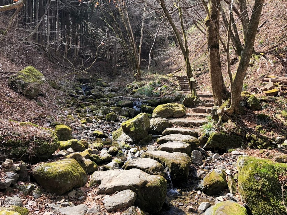Mt. Mitake’s Rock Garden (2)