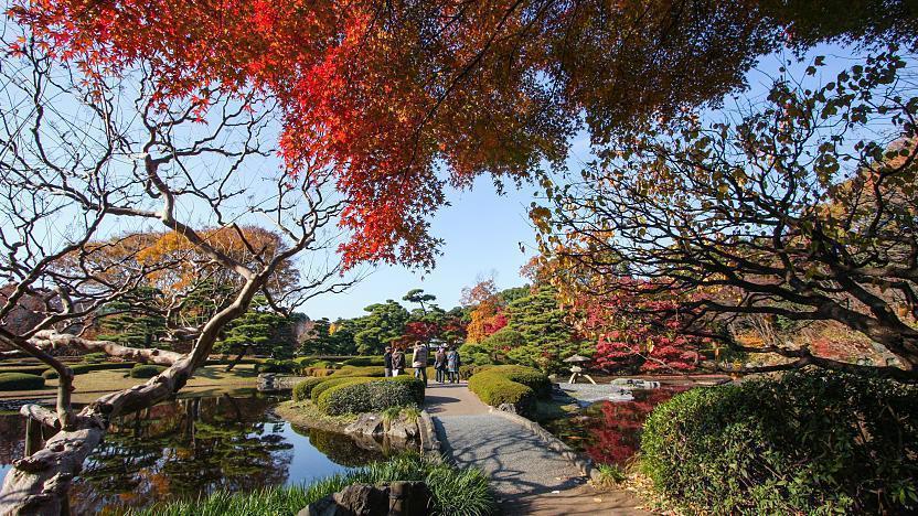 Ninomaru Garden,imperial east gardens autumn tokyo (1)