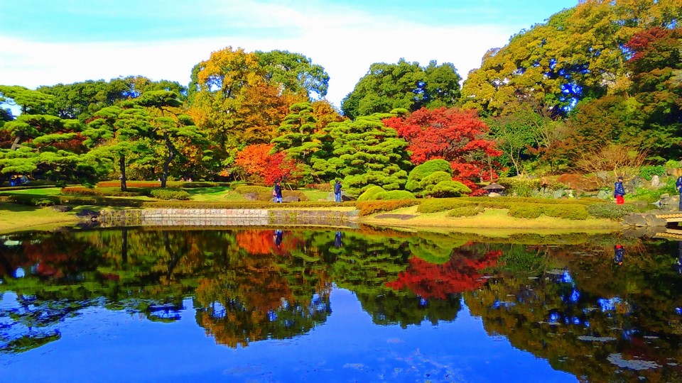 Ninomaru Garden,imperial east gardens autumn tokyo (2)