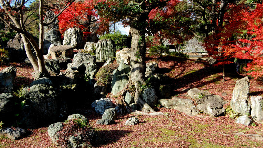 Ninomaru Garden,imperial east gardens autumn tokyo (3)
