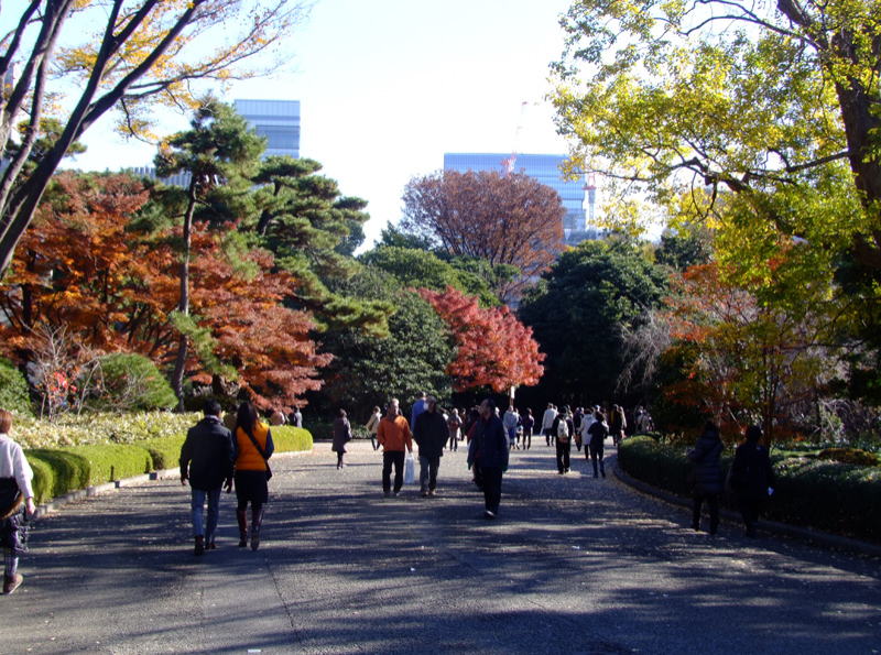 Ninomaru Garden,imperial east gardens autumn tokyo (4)