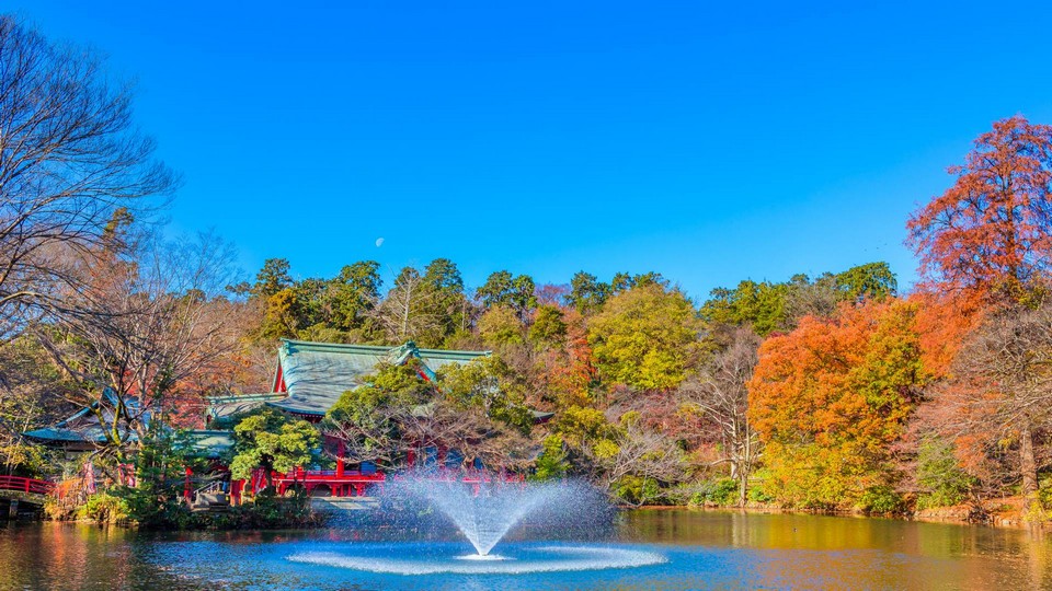 Ninomaru Garden,imperial east gardens autumn tokyo (5)