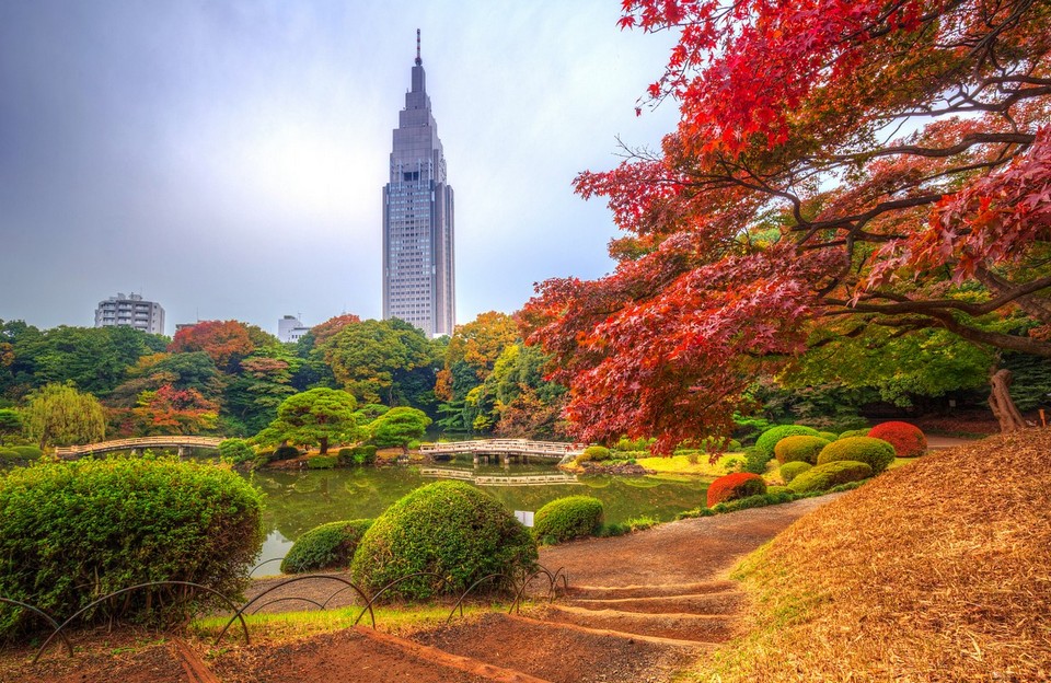 Shinjuku Gyoen park autumn tokyo (1)