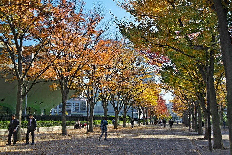 Yoyogi Koen (Yoyogi Park) autumn (10)