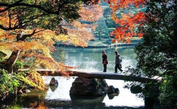 Tokyo fall foliage forecast 2025 — When & 13+ best place to see autumn leaves in Tokyo best autumn foliage in tokyo