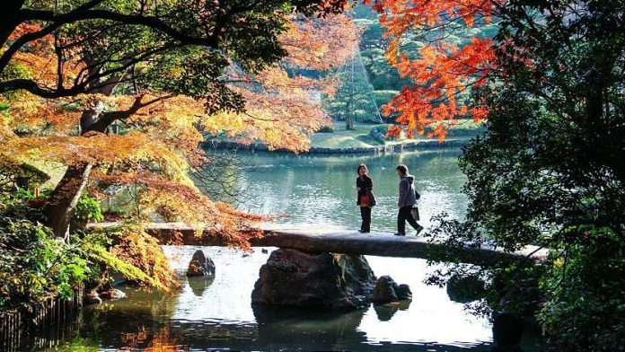 best autumn foliage in tokyo best autumn foliage in tokyo