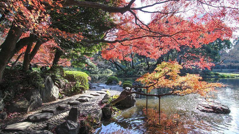 koishikawa korakuen garden autumn (2)