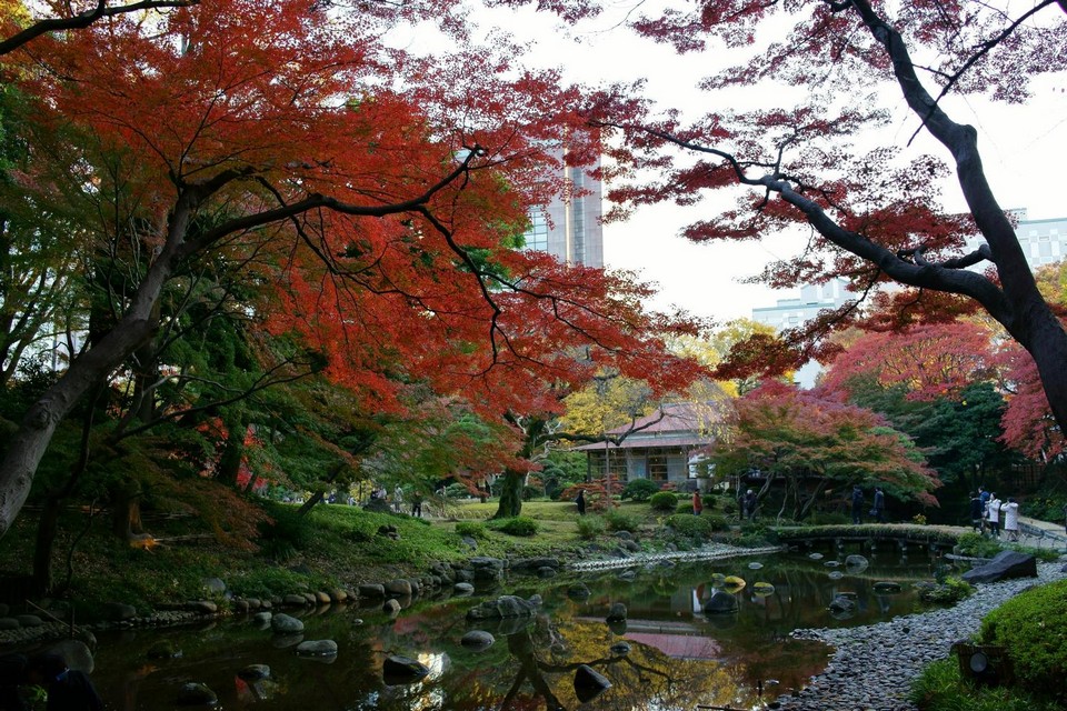 koishikawa korakuen garden autumn (3)