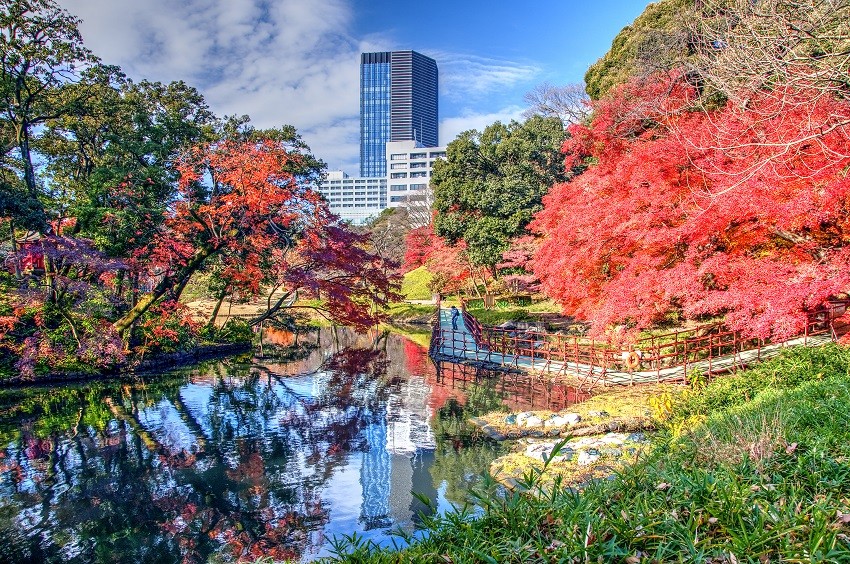 koishikawa korakuen garden autumn (4)