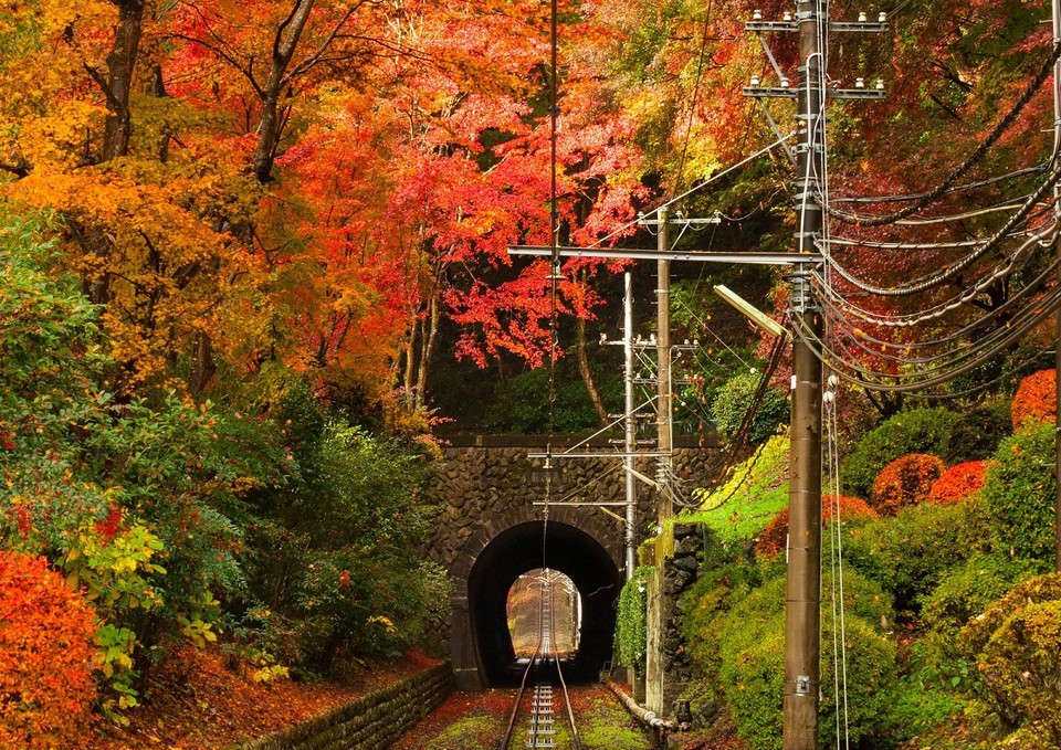 mount takao autumn fall takaosan (3)