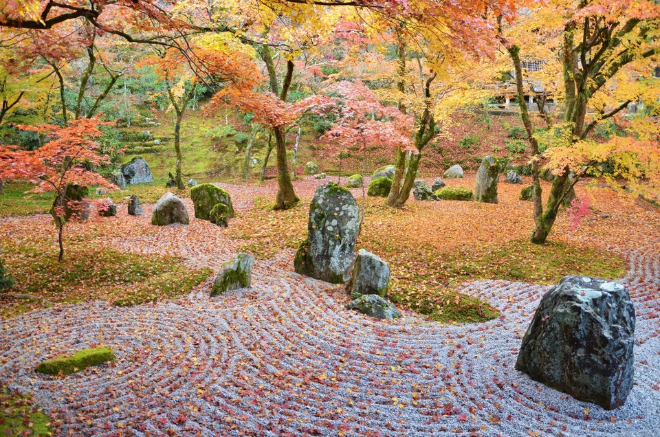 49 - Komyozenji Temple - The Beauty of Japanese Autumn